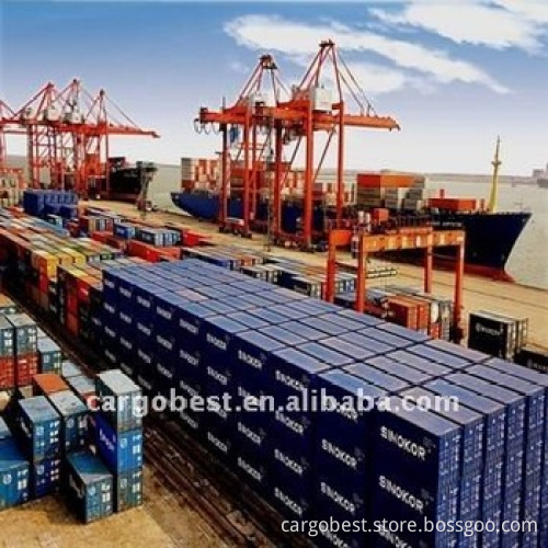 shipping fm shanghai to manzanillo/kingston/caucedo/perto cabello/port of spain